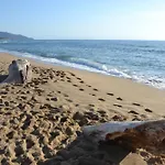 Sara *